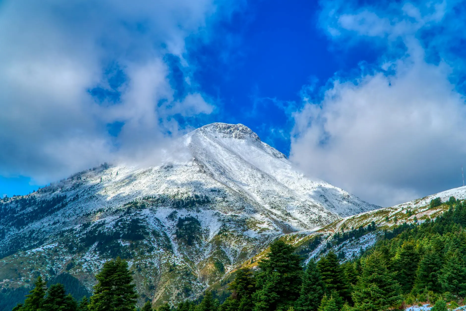 Créatrice voyage / visuel signature